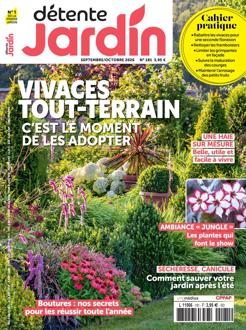 MDétente Jardin
